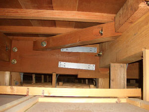 小屋裏の調査